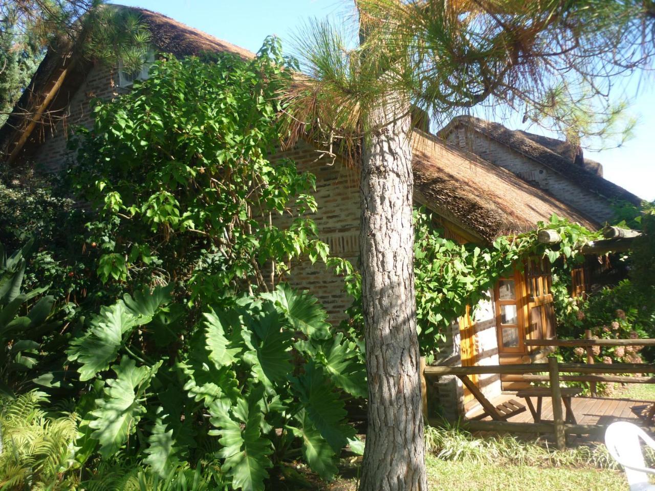 Cabanas Del Uru Colón 외부 사진